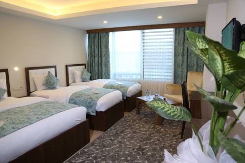 Imagen de la habitación del Cebeci Grand Hotel. Foto 2