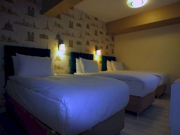 Imagen de la habitación del Cebeci Lotis Hotel. Foto 8
