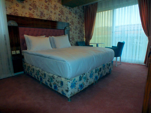Imagen de la habitación del Cebeci Lotis Hotel. Foto 10