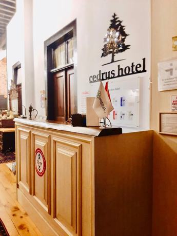 Imagen de los interiores del Cedrus Hotel. Foto 20