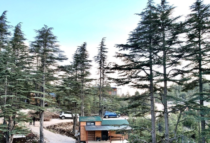 Imagen general del Cedrus Life Bungalow Tesisleri. Foto 1