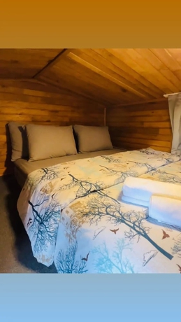 Imagen de la habitación del Cedrus Life Bungalow Tesisleri. Foto 12