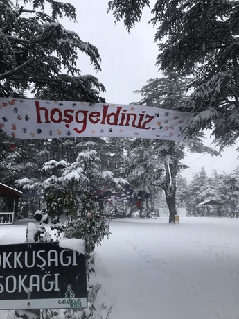 Imagen general del Cedrus Life Bungalow Tesisleri. Foto 3