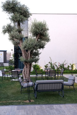 Imagen general del Celeste Bella Luxury Hotel and Spa. Foto 3
