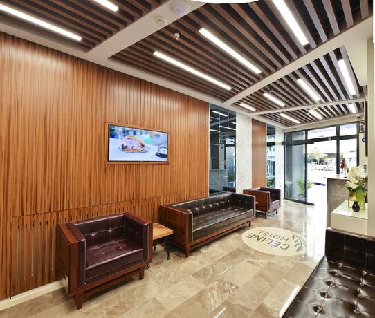 Imagen general del Celine Hotel Taxim. Foto 8