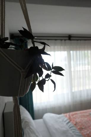 Imagen de la habitación del Ceneviz Hotel. Foto 15