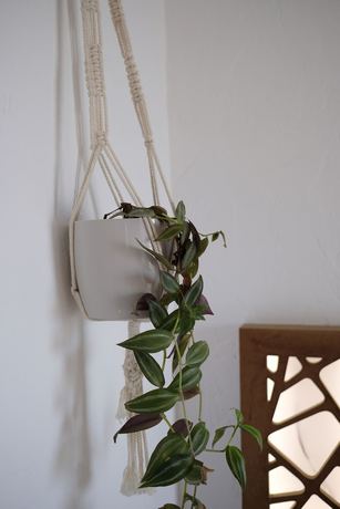 Imagen de la habitación del Ceneviz Hotel, Kumluca. Foto 4