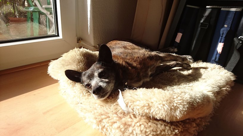 Imagen general del Central Hotel. Foto 2