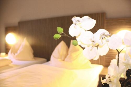 Imagen general del Centro Hotel Alzey. Foto 2