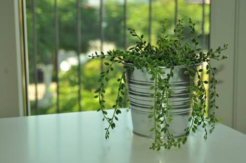 Imagen de la habitación del Cerca Da Vitoria 2 Sesimbra. Foto 15