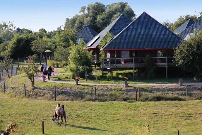 Imagen general del Cerza Safari Lodge. Foto 18