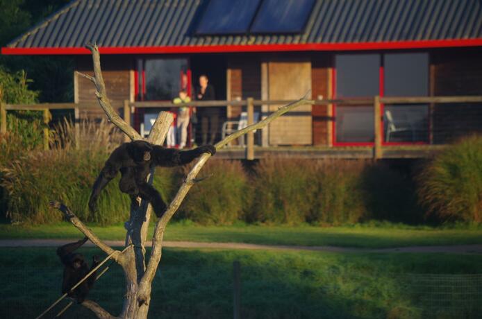 Imagen general del Cerza Safari Lodge. Foto 24