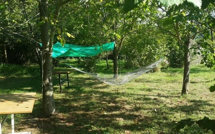 Imagen de la habitación del Cesmi Cakraz - Glamping. Foto 12