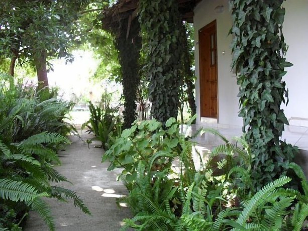 Imagen general del Cesur Pansiyon. Foto 4