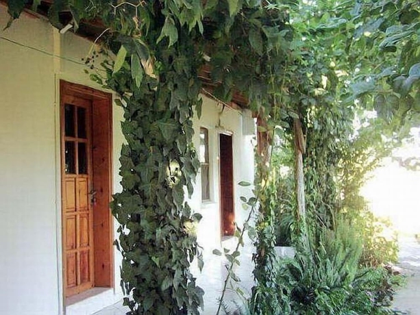 Imagen general del Cesur Pansiyon. Foto 5