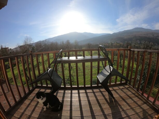 Imagen de la habitación del Cevizdibi Otel. Foto 20