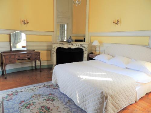 Imagen general del Ch&acirc;teau D'ermenonville, Ermenonville. Foto 4