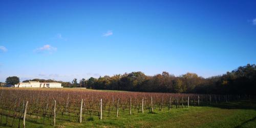 Imagen general del Château Fage - La Maison des Vignes. Foto 1