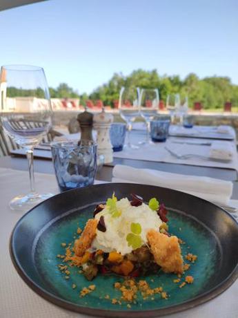 Imagen general del Château Fage - La Maison des Vignes. Foto 6