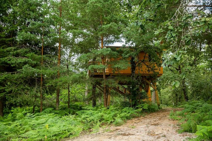 Imagen de la habitación del Château Léognan. Foto 20