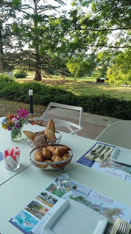 Imagen del bar/restaurante del Ch&acirc;teau de Mons en Armagnac. Foto 6