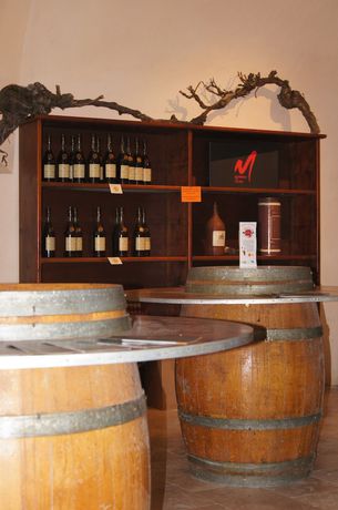 Imagen de los interiores del Ch&acirc;teau de Mons en Armagnac. Foto 18