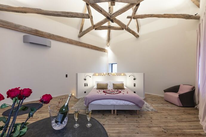 Imagen general del Ch&acirc;teau du Souzy. Foto 2