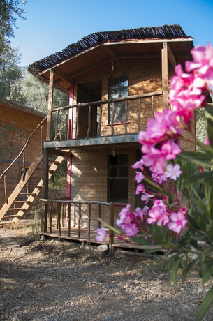 Imagen de la habitación del Chakra Beach Kabak. Foto 10