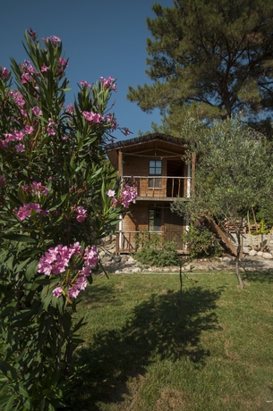 Imagen de la habitación del Chakra Beach Kabak. Foto 12