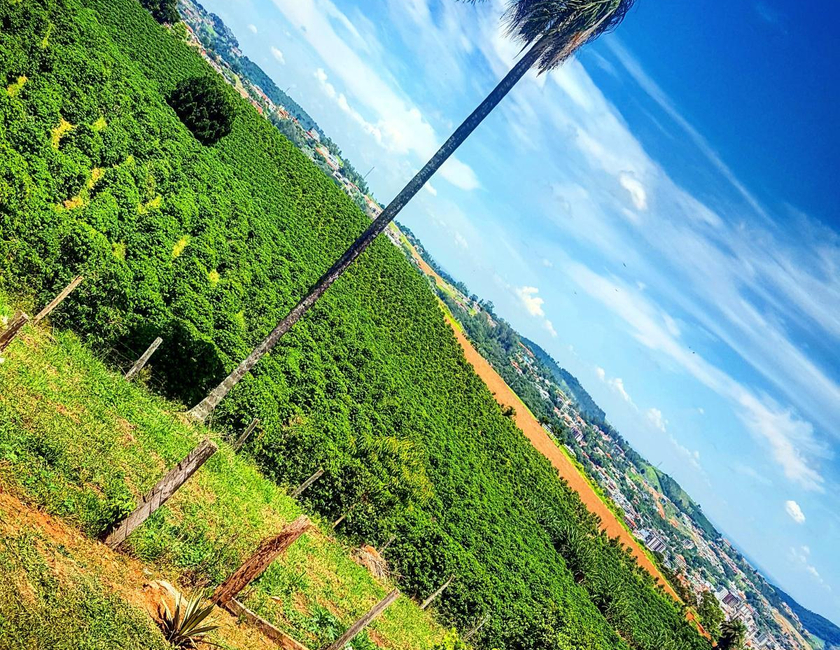 Imagen general del Chal&eacute; Alto Da Serra Sp. Foto 22