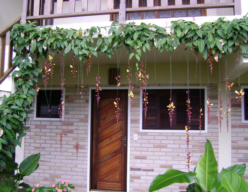 Imagen general del Chal&eacute;s Ancoradouro. Foto 15