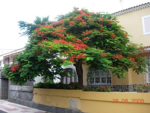Imagen general del Chalet Ciudad Jardin. Foto 6