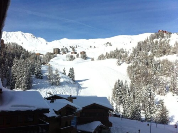 Imagen de los exteriores del Chalet Hotel Rhododendrons. Foto 16