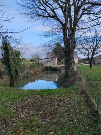 Imagen general del Chambre d\'Hote la Miloute. Foto 2