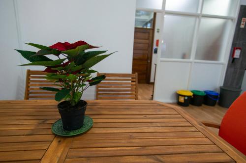 Imagen general del Change The World Hostels - Porto - Santa Catarina. Foto 6