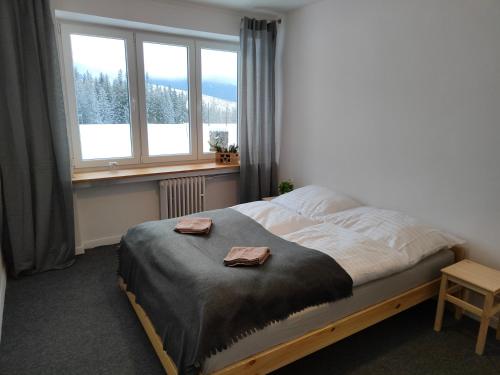 Imagen de la habitación del Chata - Dom Horskej služby Jasna. Foto 15