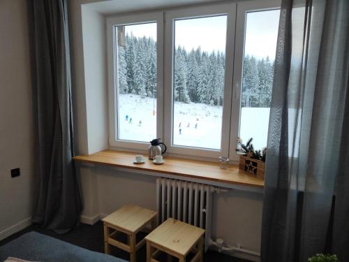 Imagen de la habitación del Chata - Dom Horskej služby Jasna. Foto 16