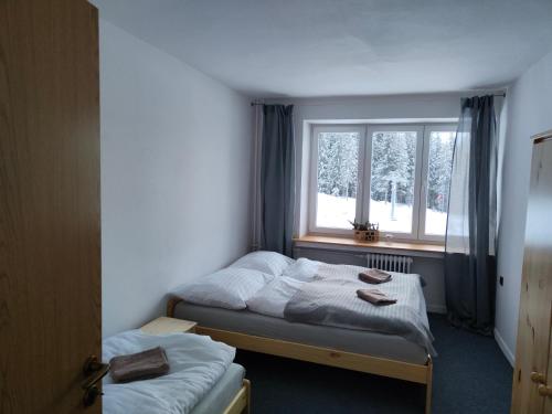 Imagen de la habitación del Chata - Dom Horskej služby Jasna. Foto 17