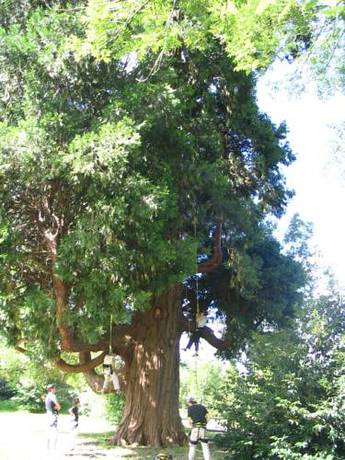 Imagen de la habitación del Chateau De Libarrenx. Foto 3
