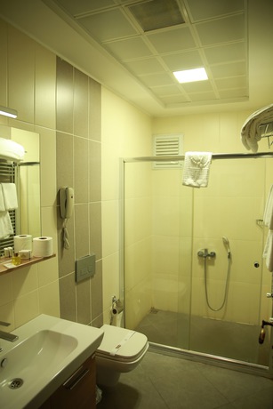 Imagen de la habitación del Cheltikov Hotel. Foto 4