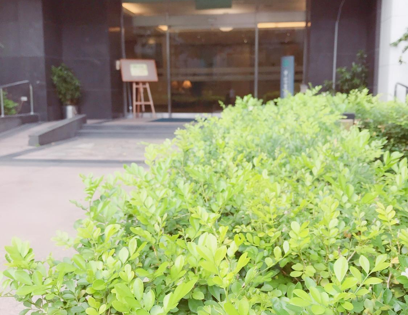 Imagen general del Chinatrust Executive House. Foto 8