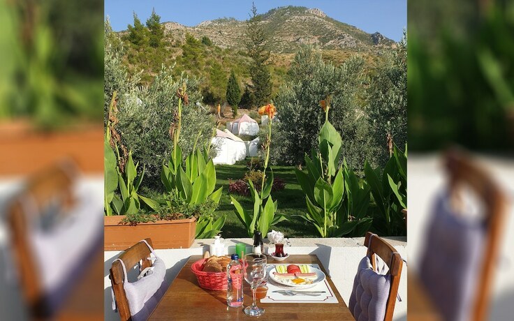 Imagen general del Chingene Glamping. Foto 9