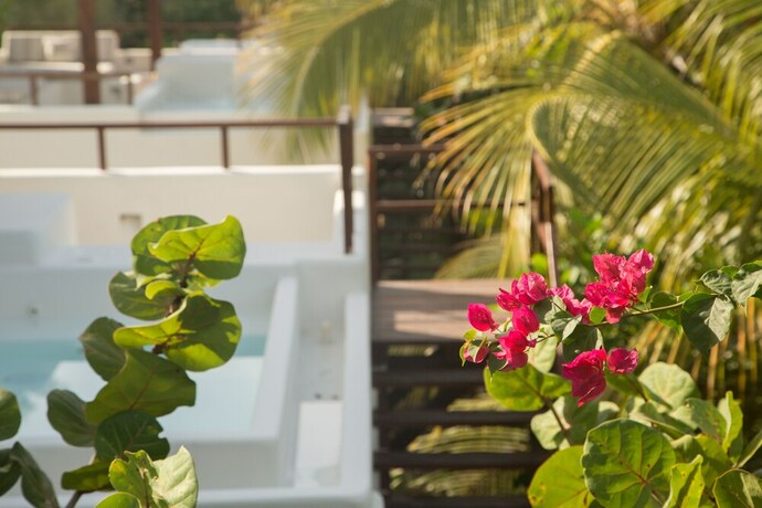 Imagen de la habitación del Chiringuito Tulum. Foto 18