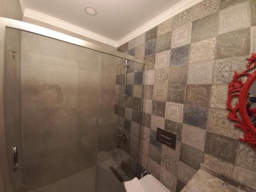 Imagen de la habitación del Chloe hotel Ala&ccedil;atı. Foto 13