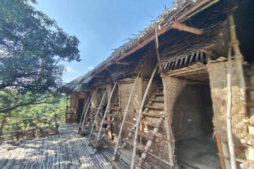 Imagen general del Chords of Nature Abodes. Foto 2