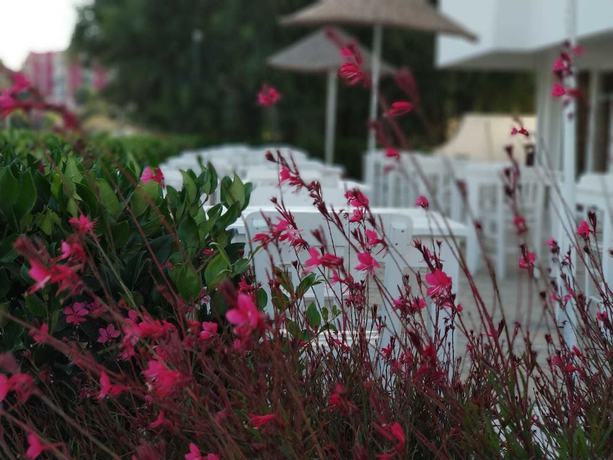 Imagen general del Cicek Apart Hotel, Cesme. Foto 1