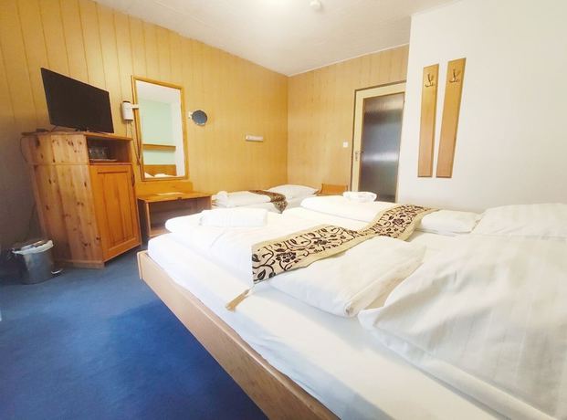 Imagen de la habitación del City Hotel Pforzheim. Foto 7