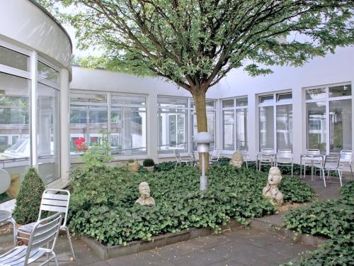 Imagen general del Cjd Bonn. Foto 7