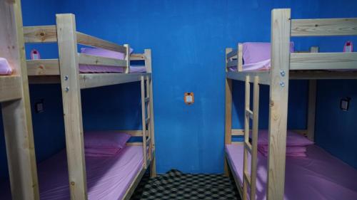 Imagen de la habitación del Class 2 Year 3. Foto 8