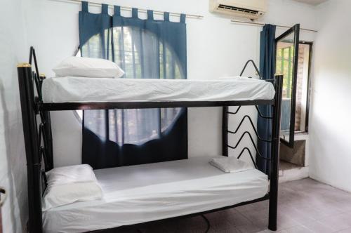 Imagen general del Clover Hostel. Foto 11